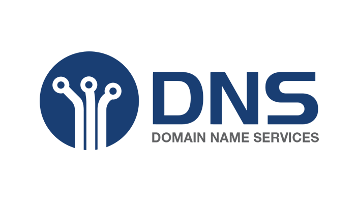 DNS Logo DNS Logo